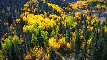 Free download Birds Eye Film  Photo - A Red River Fall video and edit with RedcoolMedia movie maker MovieStudio video editor online and AudioStudio audio editor onlin