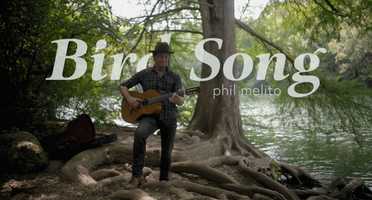 Free download Bird song video and edit with RedcoolMedia movie maker MovieStudio video editor online and AudioStudio audio editor onlin