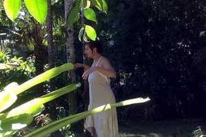 Free download bird song prayer video and edit with RedcoolMedia movie maker MovieStudio video editor online and AudioStudio audio editor onlin