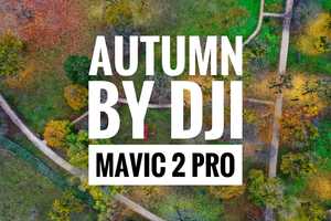 Free download Bird view of autumn (Slovakia - Palarikovo) video and edit with RedcoolMedia movie maker MovieStudio video editor online and AudioStudio audio editor onlin