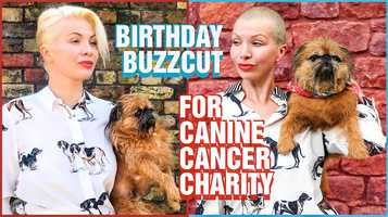 Free download Birthday BuzzCut for Canine Cancer Charity | BUZZED OFF ALL MY HAIR WITH DOG CLIPPERS! video and edit with RedcoolMedia movie maker MovieStudio video editor online and AudioStudio audio editor onlin