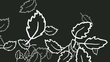 Free download Bittersweet Media - Logo Animation 02 - Black and White video and edit with RedcoolMedia movie maker MovieStudio video editor online and AudioStudio audio editor onlin