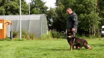 Free download bjorn_protection2movie video and edit with RedcoolMedia movie maker MovieStudio video editor online and AudioStudio audio editor onlin