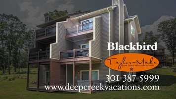 Free download Blackbird at Deep Creek Lake video and edit with RedcoolMedia movie maker MovieStudio video editor online and AudioStudio audio editor onlin