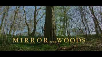 Free download Blackmagic Pockect Cinema Camera Short Film - MIRROR IN THE WOODS (UncannyEpisodes) HD video and edit with RedcoolMedia movie maker MovieStudio video editor online and AudioStudio audio editor onlin