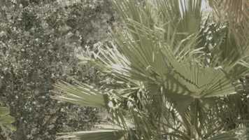 Free download Blackmagic Pocket Cinema Camera_1_2018-06-10_1054_C0030 video and edit with RedcoolMedia movie maker MovieStudio video editor online and AudioStudio audio editor onlin