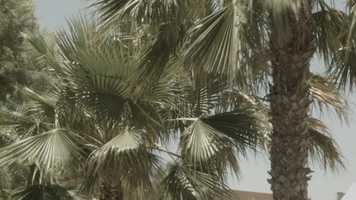 Free download Blackmagic Pocket Cinema Camera_1_2018-06-10_1054_C0031 video and edit with RedcoolMedia movie maker MovieStudio video editor online and AudioStudio audio editor onlin