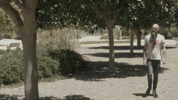 Free download Blackmagic Pocket Cinema Camera_1_2018-06-10_1111_C0035 video and edit with RedcoolMedia movie maker MovieStudio video editor online and AudioStudio audio editor onlin