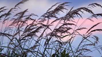 Free download Blackmagic Pocket Cinema Camera 4K Raw Test video and edit with RedcoolMedia movie maker MovieStudio video editor online and AudioStudio audio editor onlin