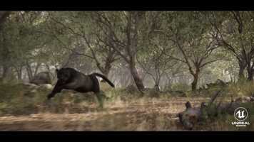 Free download Black Panther - Enviroment / Lighting video and edit with RedcoolMedia movie maker MovieStudio video editor online and AudioStudio audio editor onlin