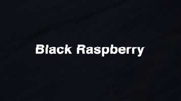 Free download Black Raspberry Title  Intro video and edit with RedcoolMedia movie maker MovieStudio video editor online and AudioStudio audio editor onlin