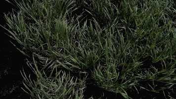 Free download Black Sails || True Victory video and edit with RedcoolMedia movie maker MovieStudio video editor online and AudioStudio audio editor onlin