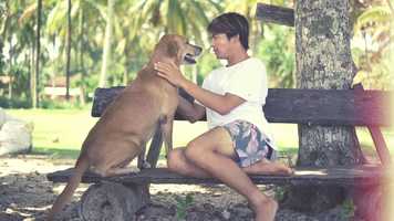 Free download Blendy Archives video and edit with RedcoolMedia movie maker MovieStudio video editor online and AudioStudio audio editor onlin