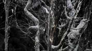 Free download blestemul official trailer_2 video and edit with RedcoolMedia movie maker MovieStudio video editor online and AudioStudio audio editor onlin