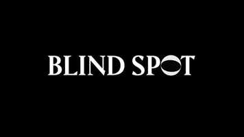 Free download Blindspot | A Schweitzer Creative Film video and edit with RedcoolMedia movie maker MovieStudio video editor online and AudioStudio audio editor onlin