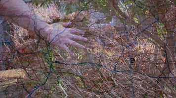 Free download Blipvert 3 - Touch (Daughter) video and edit with RedcoolMedia movie maker MovieStudio video editor online and AudioStudio audio editor onlin