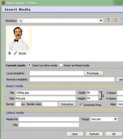 Download web tool or web app BLOG:CMS - makes blogging fun again