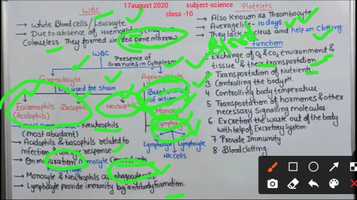 Free download blood and circulatory system video and edit with RedcoolMedia movie maker MovieStudio video editor online and AudioStudio audio editor onlin