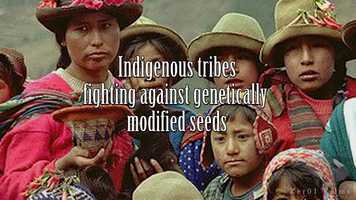 Free download Blood Bank book trailer video and edit with RedcoolMedia movie maker MovieStudio video editor online and AudioStudio audio editor onlin