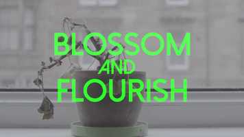 Free download Blossom and Flourish // Incredible - Edinburgh Napier University Portfolio video and edit with RedcoolMedia movie maker MovieStudio video editor online and AudioStudio audio editor onlin