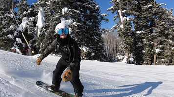 Free download Bluebird Drip video and edit with RedcoolMedia movie maker MovieStudio video editor online and AudioStudio audio editor onlin