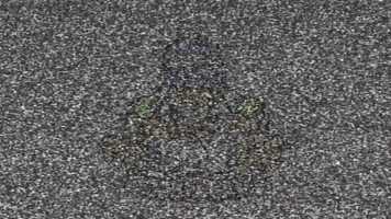 Free download Blue Dimension - Michael Palmer (Official Music Video) video and edit with RedcoolMedia movie maker MovieStudio video editor online and AudioStudio audio editor onlin