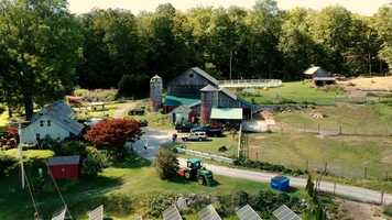 Free download Blue Heron Aerial video and edit with RedcoolMedia movie maker MovieStudio video editor online and AudioStudio audio editor onlin