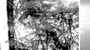 Free download Blue Rats video and edit with RedcoolMedia movie maker MovieStudio video editor online and AudioStudio audio editor onlin