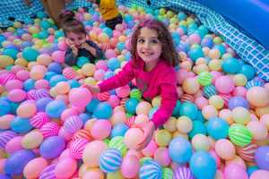 Free download Bluewaters Food Festival video and edit with RedcoolMedia movie maker MovieStudio video editor online and AudioStudio audio editor onlin