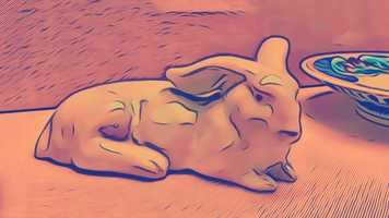 Free download BMA KIDS: Calming Story - Sally the Bunny Goes On a Picnic video and edit with RedcoolMedia movie maker MovieStudio video editor online and AudioStudio audio editor onlin