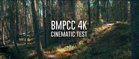 Free download BMPCC 4K - EARLY SPRING video and edit with RedcoolMedia movie maker MovieStudio video editor online and AudioStudio audio editor onlin