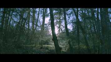 Free download BMPCC6K Test Footage 17th April 2020 video and edit with RedcoolMedia movie maker MovieStudio video editor online and AudioStudio audio editor onlin