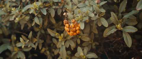 Free download BMPCC6K Test (New Song) video and edit with RedcoolMedia movie maker MovieStudio video editor online and AudioStudio audio editor onlin