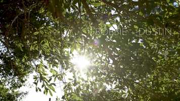 Free download Bobbie and Dustin: The Teaser Film video and edit with RedcoolMedia movie maker MovieStudio video editor online and AudioStudio audio editor onlin