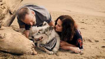 Free download Bodhi_Erin_Bill_Furry Friend Films video and edit with RedcoolMedia movie maker MovieStudio video editor online and AudioStudio audio editor onlin