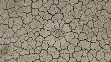 Free download Boise, ID www.bEpic.com B-Smart Elev8 Life-Changing Product | Coming to: MA MD ME LA KY KS IA | video and edit with RedcoolMedia movie maker MovieStudio video editor online and AudioStudio audio editor onlin