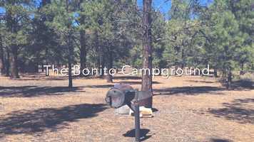 Free download Bonito campground video and edit with RedcoolMedia movie maker MovieStudio video editor online and AudioStudio audio editor onlin