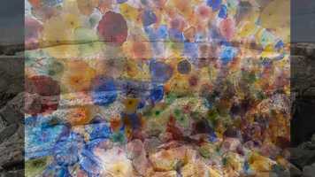 Free download Bon Jovi Exercise video and edit with RedcoolMedia movie maker MovieStudio video editor online and AudioStudio audio editor onlin