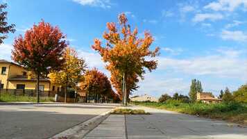 Free download Bordils, 10 doctubre de 2021. Cora, Escola de Bordils video and edit with RedcoolMedia movie maker MovieStudio video editor online and AudioStudio audio editor onlin