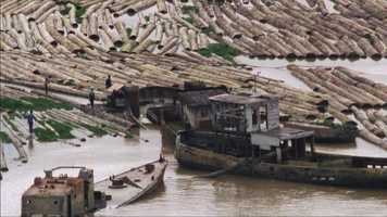 Free download BORNEO CASE TRAILER video and edit with RedcoolMedia movie maker MovieStudio video editor online and AudioStudio audio editor onlin