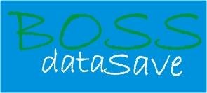 Download web tool or web app BossDataSave