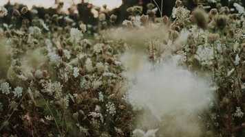 Free download BOUNDLESS - Music Within video and edit with RedcoolMedia movie maker MovieStudio video editor online and AudioStudio audio editor onlin