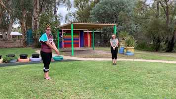 Free download Bowerbird video and edit with RedcoolMedia movie maker MovieStudio video editor online and AudioStudio audio editor onlin