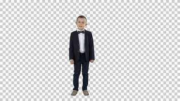 Free download Boy in A Suit Walks in A Frame and Starts Talking, Alpha Channel | Stock Footage - Videohive video and edit with RedcoolMedia movie maker MovieStudio video editor online and AudioStudio audio editor onlin
