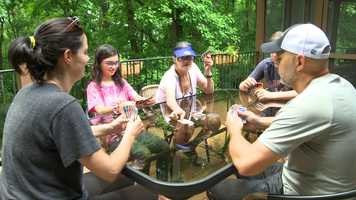 Free download Brad Clore: Its Like Groundhog Day video and edit with RedcoolMedia movie maker MovieStudio video editor online and AudioStudio audio editor onlin