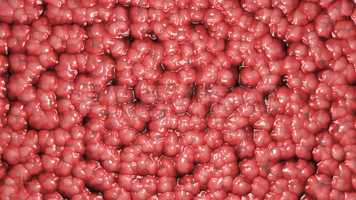 Free download Brain Moving Stock Motion Graphics video and edit with RedcoolMedia movie maker MovieStudio video editor online and AudioStudio audio editor onlin