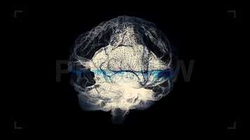 Free download Brain Scan Stock Motion Graphics video and edit with RedcoolMedia movie maker MovieStudio video editor online and AudioStudio audio editor onlin