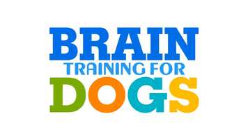 Free download Brain Training for Dogs - Game Exam Demonstration video and edit with RedcoolMedia movie maker MovieStudio video editor online and AudioStudio audio editor onlin