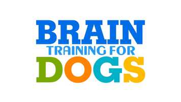 Free download Brain Training for Dogs - The Airplane Game Exam Demonstration - video and edit with RedcoolMedia movie maker MovieStudio video editor online and AudioStudio audio editor onlin