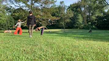 Free download branch dancing Bluebell 9-8-20 video and edit with RedcoolMedia movie maker MovieStudio video editor online and AudioStudio audio editor onlin